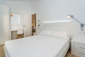 Rental of 1 bedroom apartments in Santandría